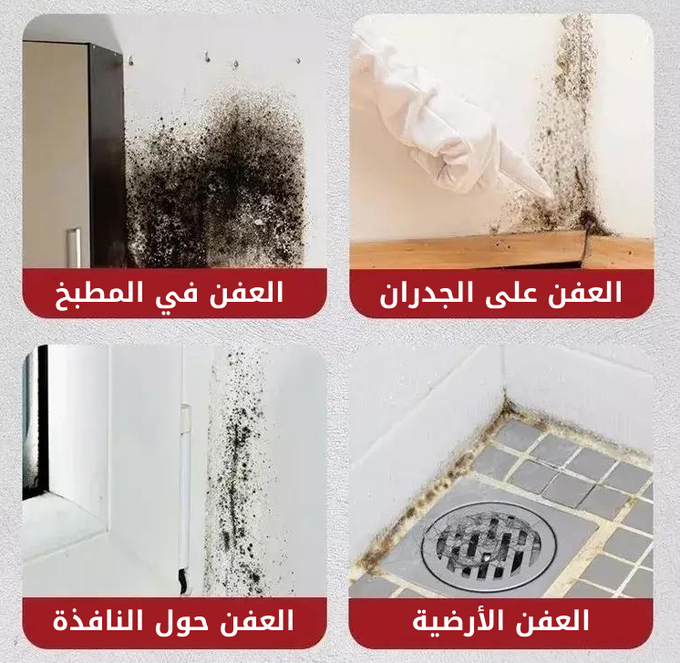 بخاخ إزالة العفن و الفطريات العنيدة